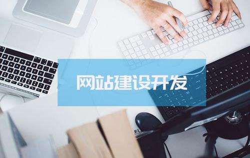 莘塍网站优化