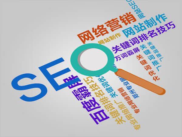 莘塍专业SEO推广公司排名与选择指南